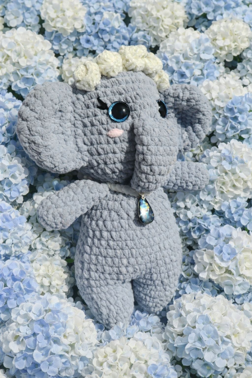 Hortensia 🐘 Douce Âme Fleurie